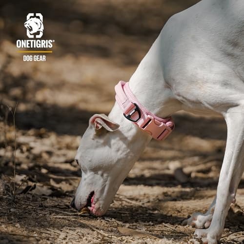 OneTigris Hundehalsband Kleine Hunde, Taktisches Hundehalsband mit Griff, Weich Gepolstert Breites mit Kunststoffschnalle und Ring aus Aluminiumlegierung, Rosa, S(30-40cm)