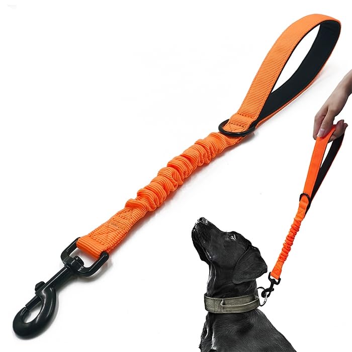 Short Dog Training Control Leash 18 Inch 1 Inch Wide Heavy Duty Elastic Traffic Bungee Leash with Padded Handle Suitable for Medium and Large Dogs(Orange)