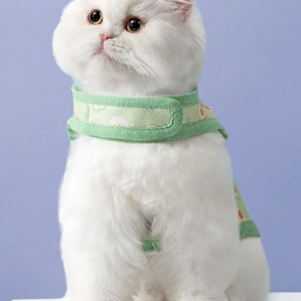 Happyyami 4juegos Arnés y Correa para Gato con Diseño De Aguacate Arnés y Transpirable para Cachorros y Gatitos para Paseos Al Aire y Entrenamiento Mediano