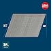 Bosch GNH16G175GV 1-3/4 In. x 16ga 20-Degree Finish Nails (2000 Per Box)
