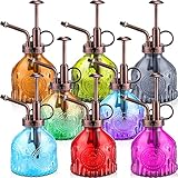 8 Pcs Glass Plant Mister Spray Bottle 200ml Vintage Plant Spritzer Multicolor Succulent Watering Bottle Watering Can 6.4'' with Plastic Top Pumps for Indoor Outdoor Succulents Garden Plants (Bronze)