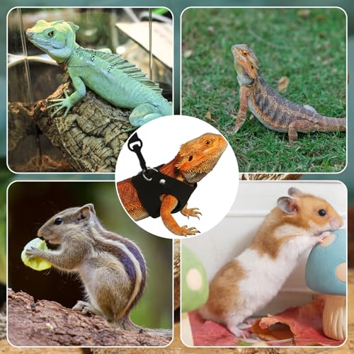 Image of 3PCS Bearded Dragon Harness and Leash, 3 Size Adjustable Squirrel Harness and Leash for Reptile Lizard, Amphibians, Small Animal Walking Vest with Traction Rope (S, M, L)