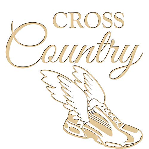 Cross Country Plaques, Custom Engraved Running Trophy Plaque Award, Great Customizable Running Team Gift Prime