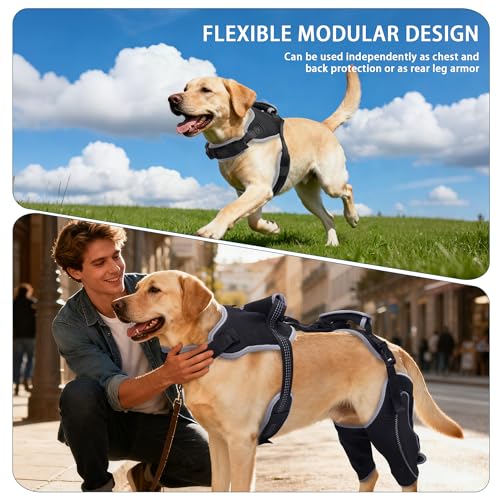 Image of Dog Knee Brace for Torn ACL Hind Leg & Luxating Patella, Multi-Functional Adjustable Rear Leg Braces for Dogs, Pain Relief, Post-Surgery Recovery, L
