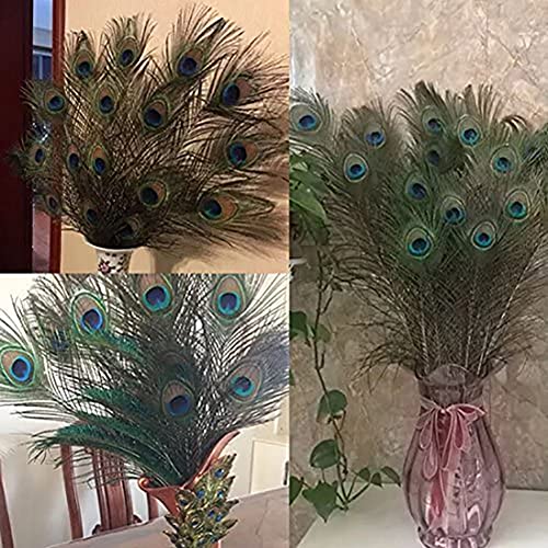 Herebuy8 40Pcs Real Natural Peacock Tail Eyes Feathers Perfect For Wedding Party Arts And Crafts Home Decorations Diy (40Pcs) #TOP3