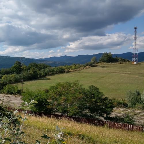 Îmi lipsești tata