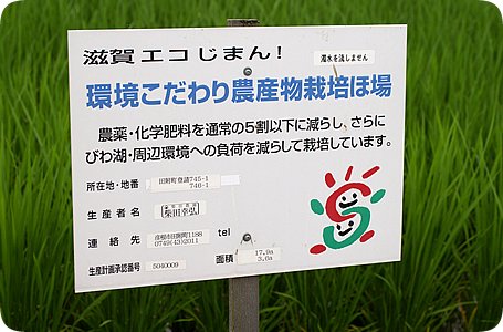 Amazon.co.jp: 新米 日本晴 玄米 20kg 令和5年 滋賀県産 米 お米 100