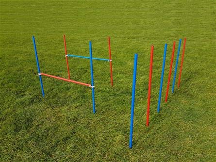 Agility-ÜBUNGS-HÜRDEN/Slalom-STANGEN-Set IN BLAU/ROT Fun-Agility (6+2)