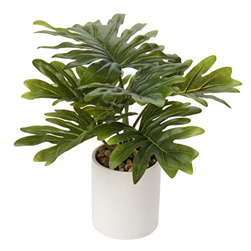 Briful Artificial Monstera Plant 13" Small Fake Plant in Ceramic Pot Potted Faux Plant Indoor for Home Bathroom Living Room Table Office Shelf Desk Decorations by Briful - Used condition - US$13.49