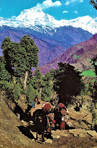 The Living Planet: A Portrait of the Earth 0316057487 Book Cover