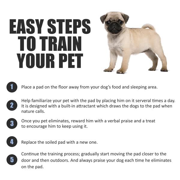 Image of BV Puppy Pads Leak-Proof 300 Count 22 inchx 22 inch - Absorbent Pee Pads for Dogs with 6-Layer Design, Rapid Dry Sheet & Built-in Attractant - Dog Pad with Odor Control, Perfect for Puppies & Senior Dogs