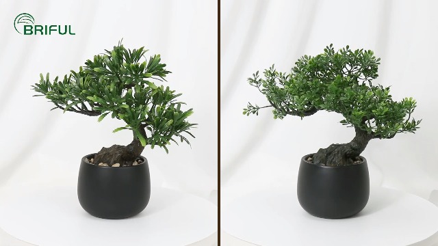 Amazon.com: Artificial Bonsai Tree Juniper Faux Plants Indoor Fake