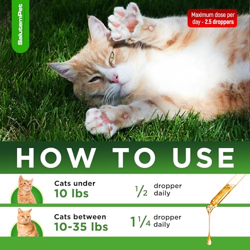 image for SalutemPet Cat Antibiotic for Infections, UTIs, Respiratory Moments, C