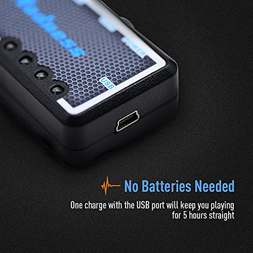 SONICAKE ミニ ギターヘッドホンアンプ コーラスエフェクト内蔵 USB充電式 US Madness