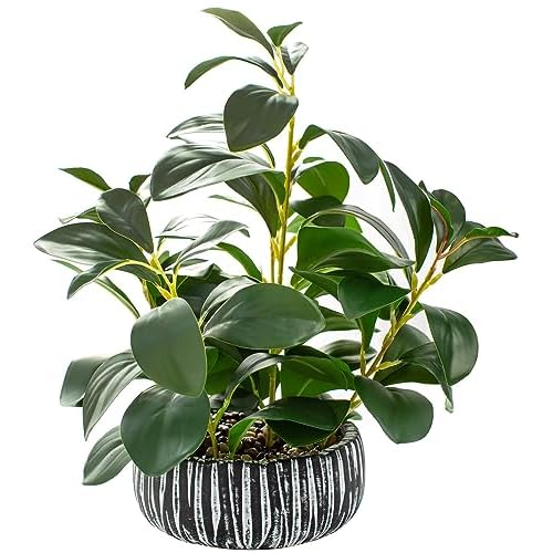 AlphaAcc Artificial Plants Decor Greenery Fake Succulents Indoor Potted Fake Plant with Rustic Black Clay Planter for Farmhouse Room Bathroom Bedroom Kitchen Office Table Desk Decor