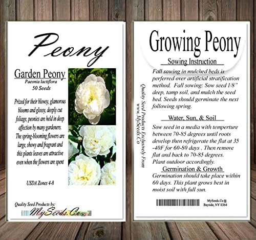 Miniatura 4 de MySeeds.Co - BIG PACK Seeds MySeeds.Co - Paquete grande de semillas de jardín de frutas de flores de supervivencia, exóticas, raras, sin OMG y