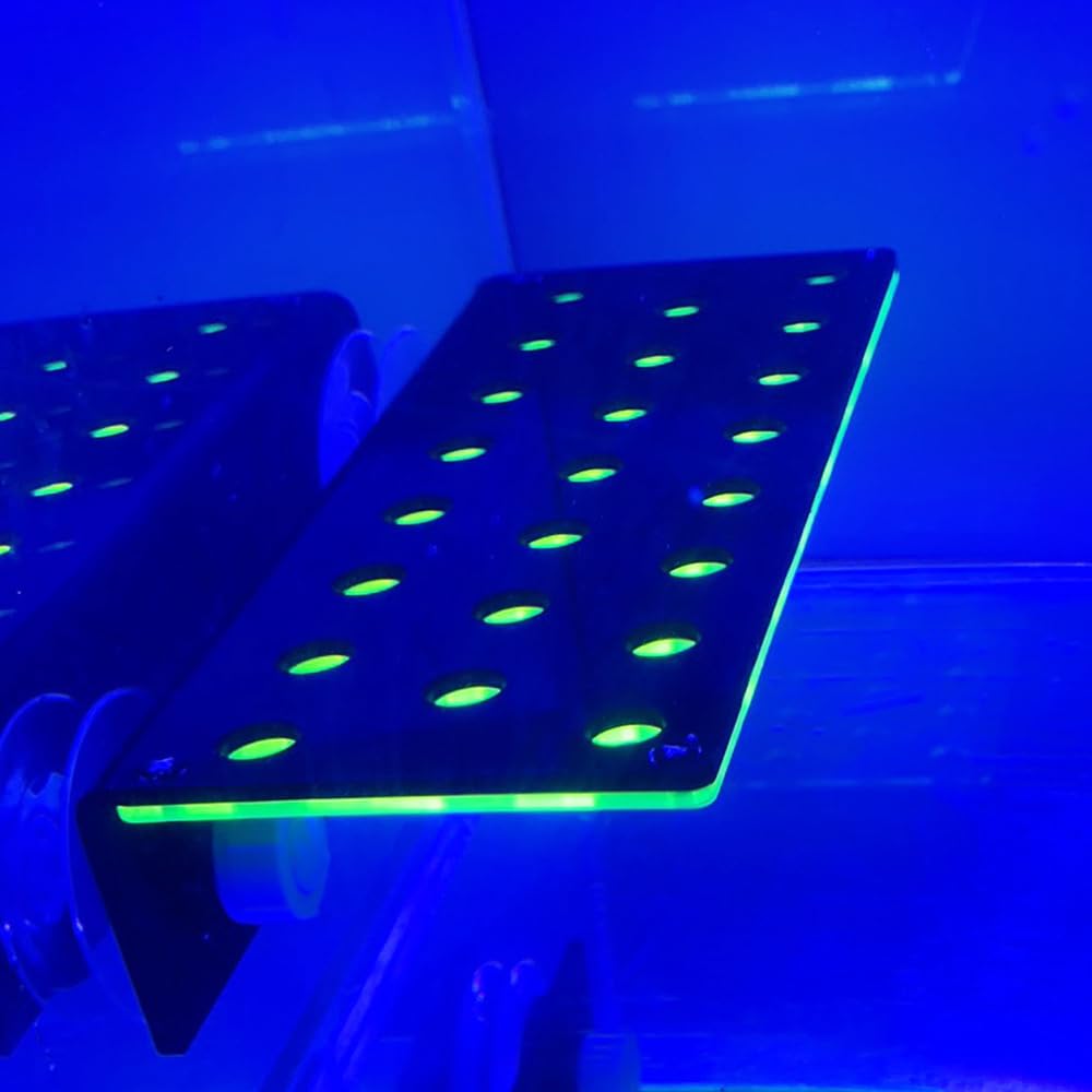 MiOYOOW Supporto per frammento di corallo, 23 fori in acrilico, corallo Frag Rack per acquario, con 2 ventose per acquari