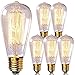 Newhouse Lighting ST64INC-6 ST64 Vintage Light Bulb 6-Pack Edison Bulbs-ST64 Incandescent Style 60 Watts-Dimmable, Medium (E26) Standard Base E27-Squirrel Cage, 6-Pack, 2.7