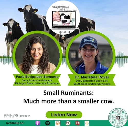 Small Ruminants: Much more than a smaller cow