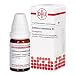 Produktbild DHU Datisca cannabina D2 Streukügelchen, 10 g Globuli