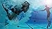 ZHMY Diving Toy Pool Glide Shark Throw Torpedo Underwater (Big Shark)