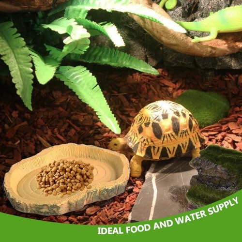 2 Stücke Wasserschale Terrarium,Schildkröten zubehör,Reptilien Wasserschale, Futterschale,Terrarium Trinkschale, Wassernapf, Schale,Zubehör für Schlange, Schildkröte, Gecko
