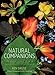 Natural Companions: The Garden Lover's Guide to Plant Combinations