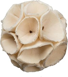 Vickerman 679203-1.6