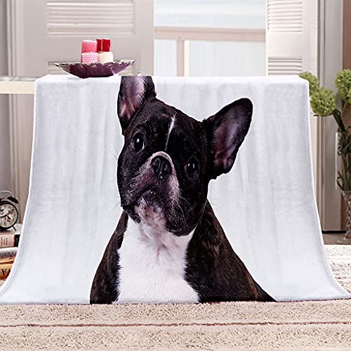 SVTUSR Manta Polar Infantil Cama 105 Manta De Franela para Sofa Cama con Animal Perro Impresión Patrón 150X150Cm Colchas Invierno Modernas para Niños, Microfibra Suave Caliente