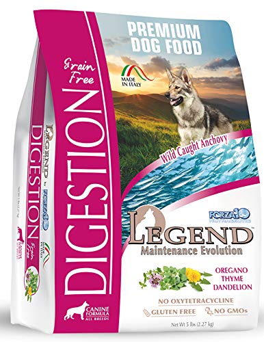 Unleash Your Dog's Best Performance: Top 10 Forza Dog Food Picks and ... - Grain-Free Egg-Based Dog Food For Digestive Health