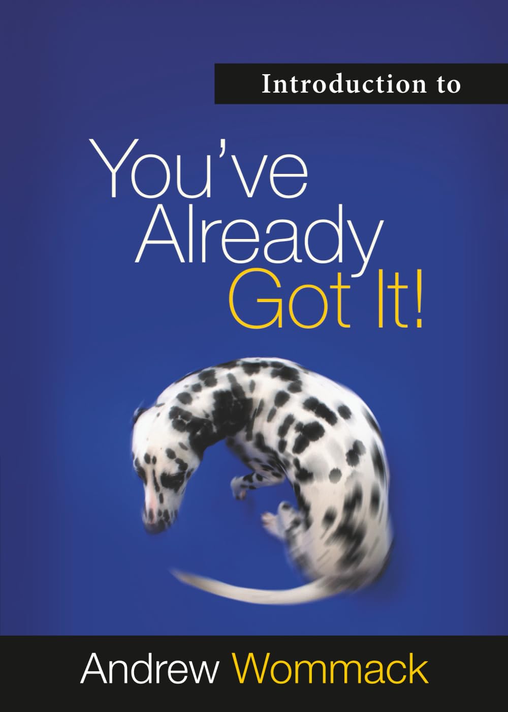 Introduction to You've Already Got It (Gospel Truth Series)
