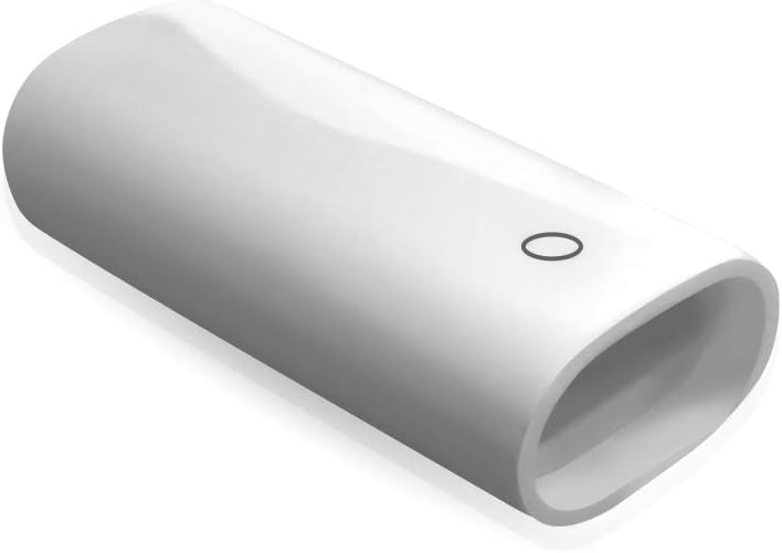 TechMatte Charging Adapter Cable for Apple Pencil (1 Piece, White)