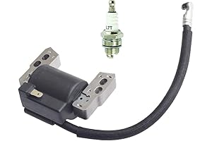 Briggs & Stratton 799381 Ignition Coil and L7T Spark Plug
