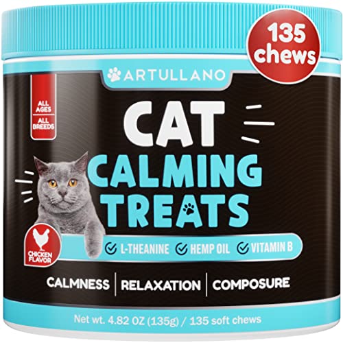 10 Best Anxiety Relief For Cats by An Expert in 2023