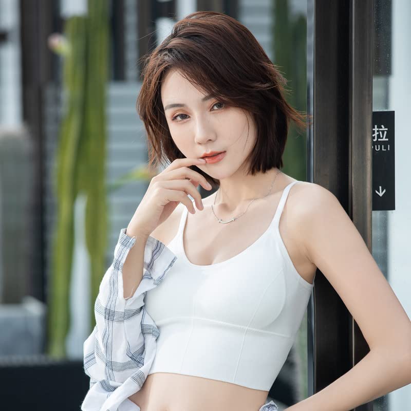 Image of Mysha Women Cotton Padded Bra Combo Pack of 3 | Soft, Comfortable, and Breathable Fabric | Removable Pads, Adjustable Straps for Everyday Wear