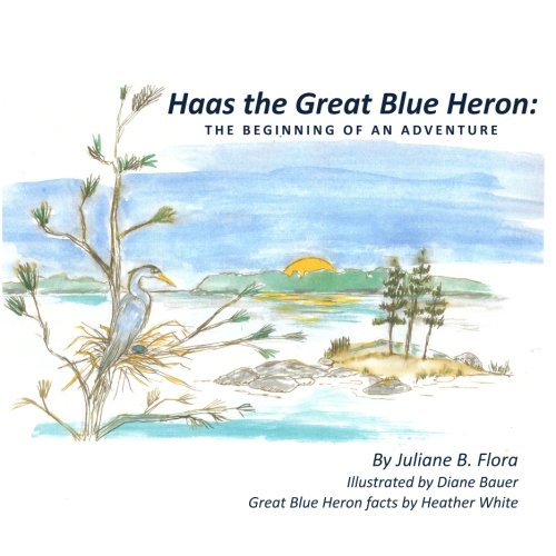 Haas The Great Blue Heron: The Beginning of an Adventure