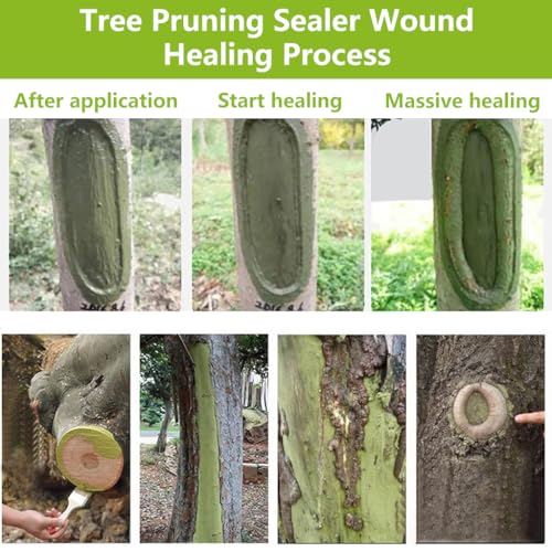 Image of ORTIZA Pruning Sealer Paste, Tree Wound Care for Bonsai Grafting