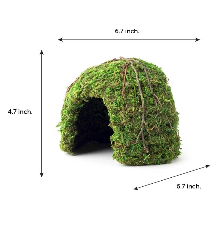 Galapagos (05366 Mossy Dome Hide, 6 in, Gal&aacute;pagos Green - image 3