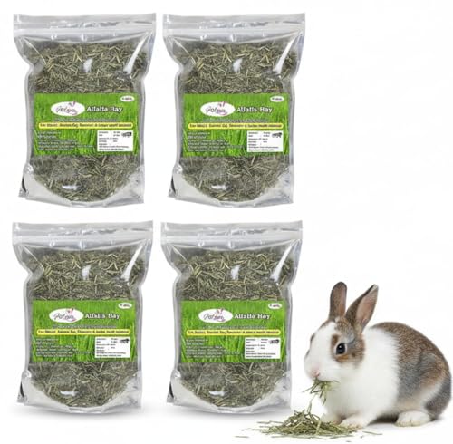 Image of Alfalfa Hay, Food for Rabbits, Guinea Pig, Hamsters and Other Small Animals (400 GMS)- Pack of 4