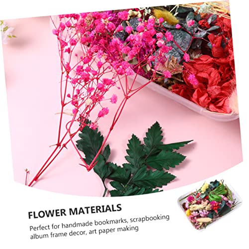 Materiales de flores secas prensadas para manualidades DIY miniatura 3