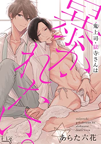 『鬼上司・獄寺さんは暴かれたい。』10巻