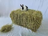 BESTES HEU für Kaninchen Meerschweinchen Hasen | HD-Ballen Wiesenheu ~12kg | 1. Schnitt Heuballen | grün und duftend | Futter und Einstreu für Kleintiere Nager