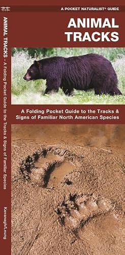 Animal Tracks: A Folding Pocket Guide to the Tracks & Signs of Familiar North American Species (Wildlife and Nature Identification)