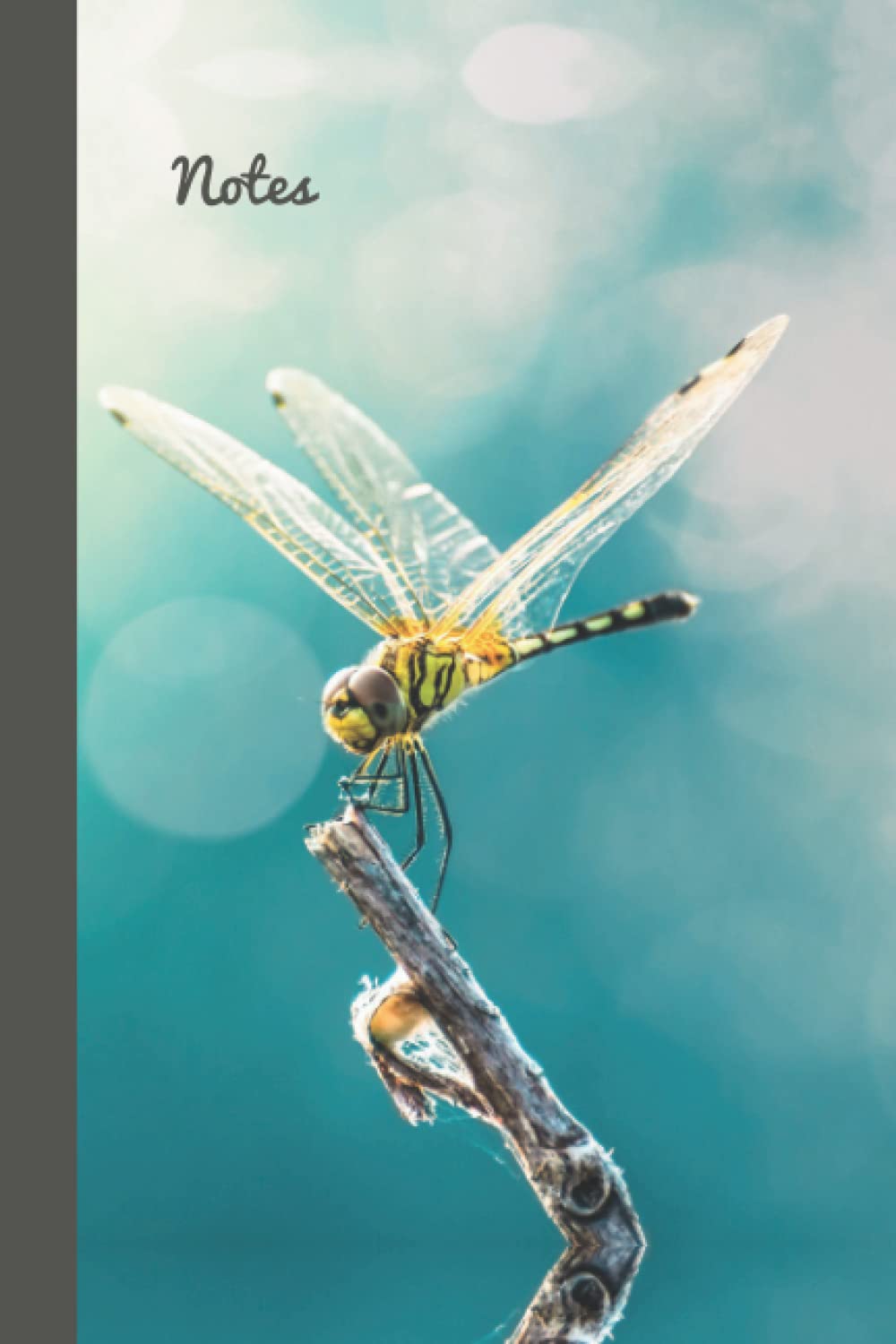 Notes: 6x9 Password Book Cleverly Disguised With Beautiful Design / Blue Yellow Dragonfly Art Photo / Discreet Internet Username and Website Login Log-book / Alphabetical Tabs / Large Print
