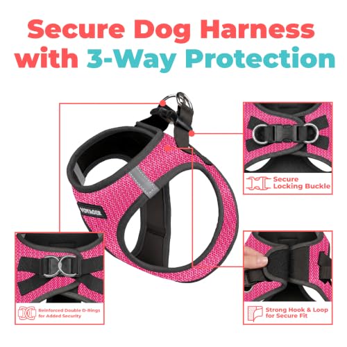 Image of Voyager Step-in Air Dog Vest Harness - Fuchsia 2-Tone, X-Large