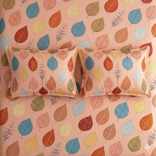 Image of Cotton Bolls Textiles Glace Cotton Fitted Bedsheet 72x72x6 Inch with 2 Pillow Covers - Soft Breathable Fabric, Elastic All Around, Printed Bedding for Double Bed