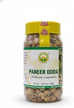 Basic Ayurveda Paneer Dodi Phool | 4.23 Oz 120g | Raw Indian Rennet for Natural Wellness | Withania Coagulans Whole Herb | Dried Pods for Herbal Tea & Ayurvedic Use