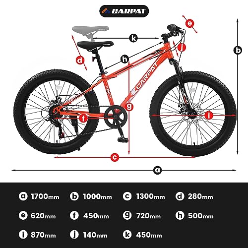 24 Inch Fat Tire Mountain Bike, 7 Speed Adult Mountain