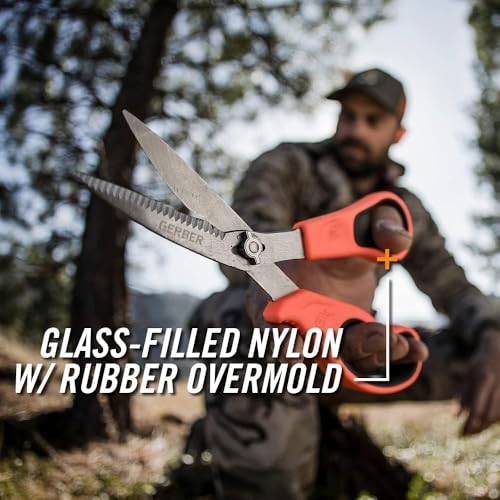 La Mejor Recopilación de Tijeras para aves que puedes comprar esta semana. 15 Imagen adicional