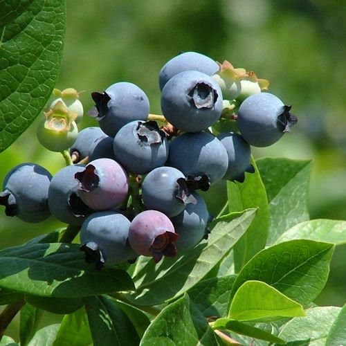 yⓀzR_͔| nu[x[ 900gmN[ցn